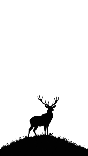 Deer Standing on Ridge