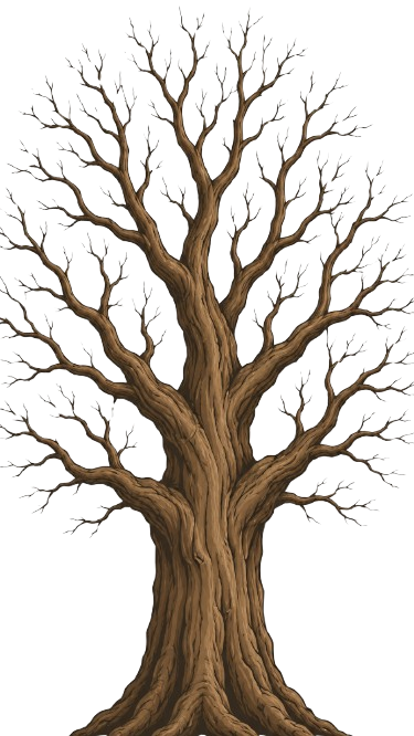 Ancient Oak Tree Outline